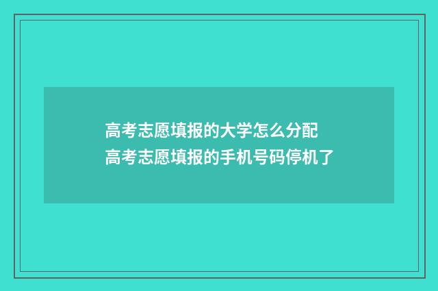 高考志愿填报的大学怎么分配 高考志愿填报的手机号码停机了