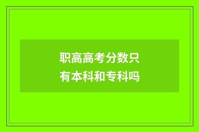 职高高考分数只有本科和专科吗