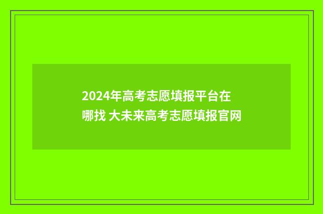 2024年高考志愿填报平台在哪找 大未来高考志愿填报官网