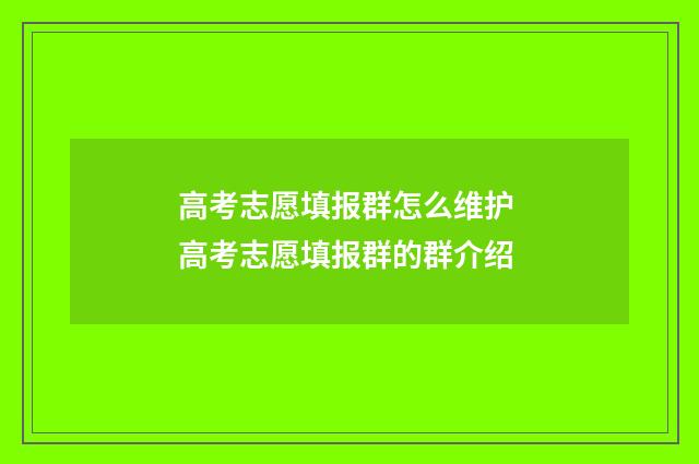 高考志愿填报群怎么维护 高考志愿填报群的群介绍