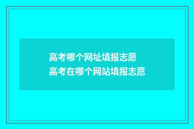 高考哪个网址填报志愿 高考在哪个网站填报志愿