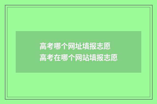 高考哪个网址填报志愿 高考在哪个网站填报志愿