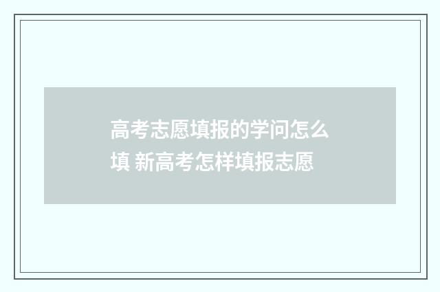 高考志愿填报的学问怎么填 新高考怎样填报志愿
