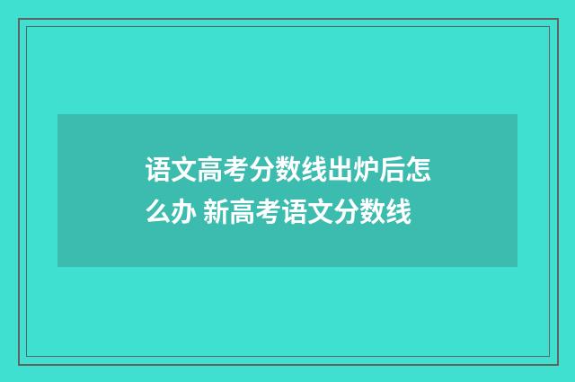 语文高考分数线出炉后怎么办 新高考语文分数线