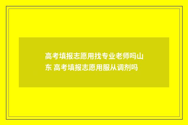 高考填报志愿用找专业老师吗山东 高考填报志愿用服从调剂吗
