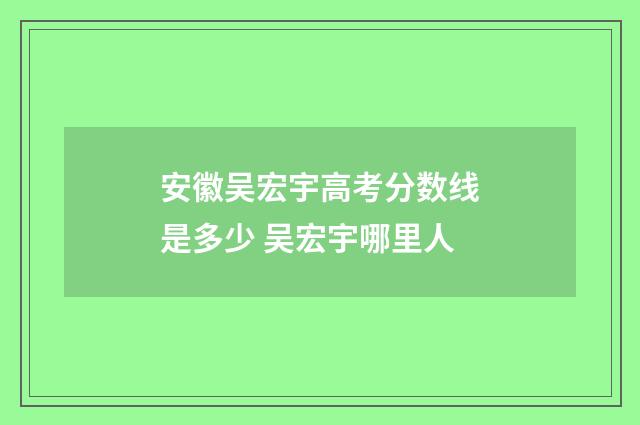 安徽吴宏宇高考分数线是多少 吴宏宇哪里人