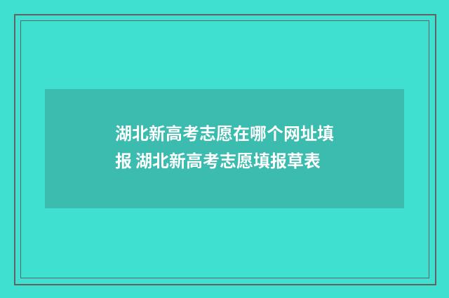 湖北新高考志愿在哪个网址填报 湖北新高考志愿填报草表