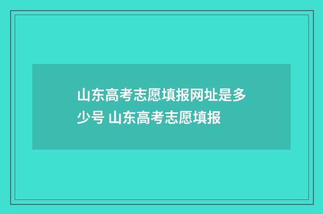 山东高考志愿填报网址是多少号 山东高考志愿填报