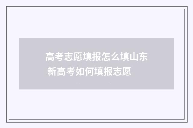 高考志愿填报怎么填山东 新高考如何填报志愿