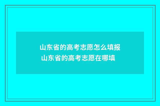 山东省的高考志愿怎么填报 山东省的高考志愿在哪填