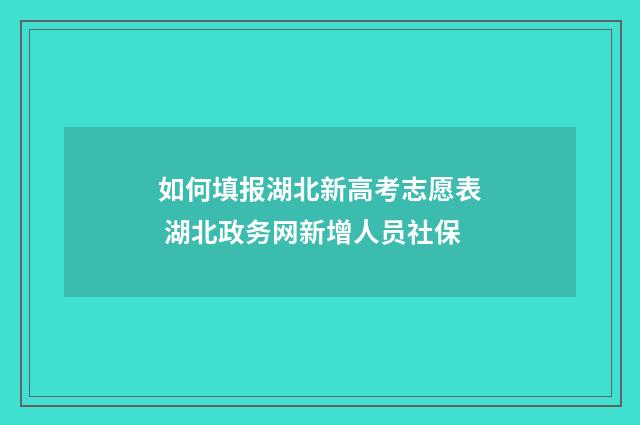 如何填报湖北新高考志愿表 湖北政务网新增人员社保