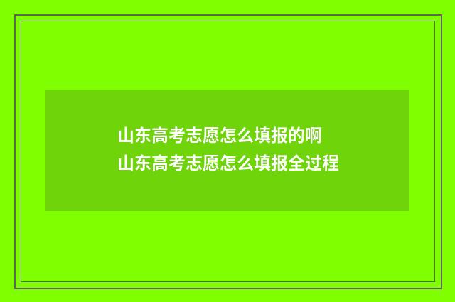 山东高考志愿怎么填报的啊 山东高考志愿怎么填报全过程