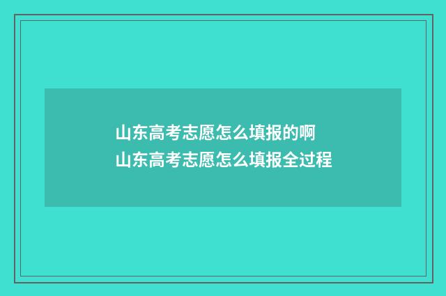 山东高考志愿怎么填报的啊 山东高考志愿怎么填报全过程