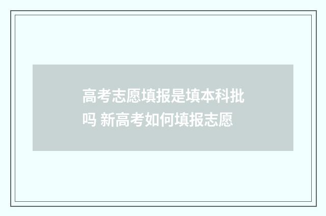 高考志愿填报是填本科批吗 新高考如何填报志愿