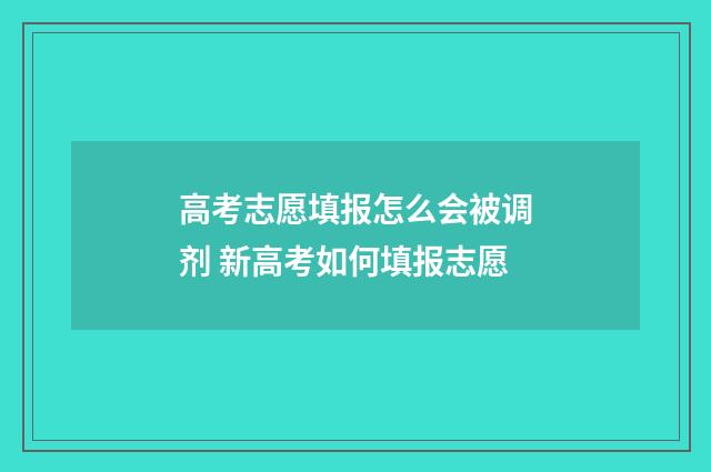 高考志愿填报怎么会被调剂 新高考如何填报志愿