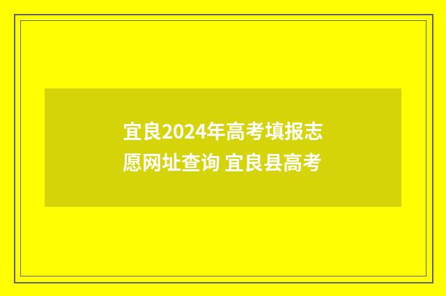 宜良2024年高考填报志愿网址查询 宜良县高考