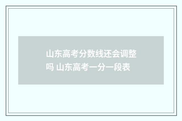 山东高考分数线还会调整吗 山东高考一分一段表