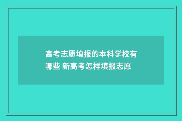 高考志愿填报的本科学校有哪些 新高考怎样填报志愿