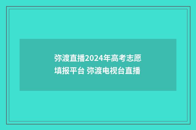 弥渡直播2024年高考志愿填报平台 弥渡电视台直播