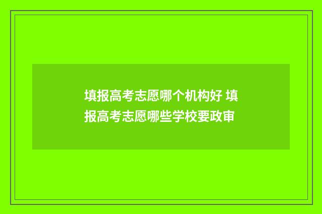 填报高考志愿哪个机构好 填报高考志愿哪些学校要政审