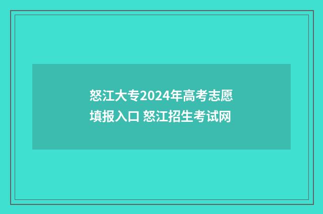 怒江大专2024年高考志愿填报入口 怒江招生考试网