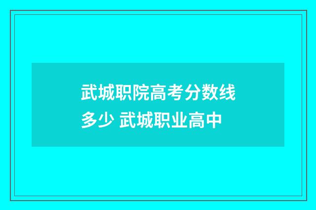 武城职院高考分数线多少 武城职业高中