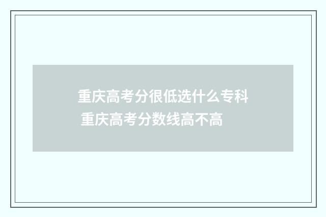重庆高考分很低选什么专科 重庆高考分数线高不高