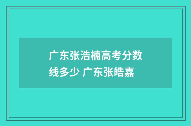 广东张浩楠高考分数线多少 广东张皓嘉