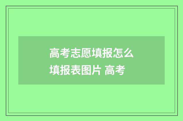 高考志愿填报怎么填报表图片 高考