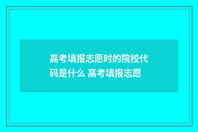 高考填报志愿时的院校代码是什么 高考填报志愿