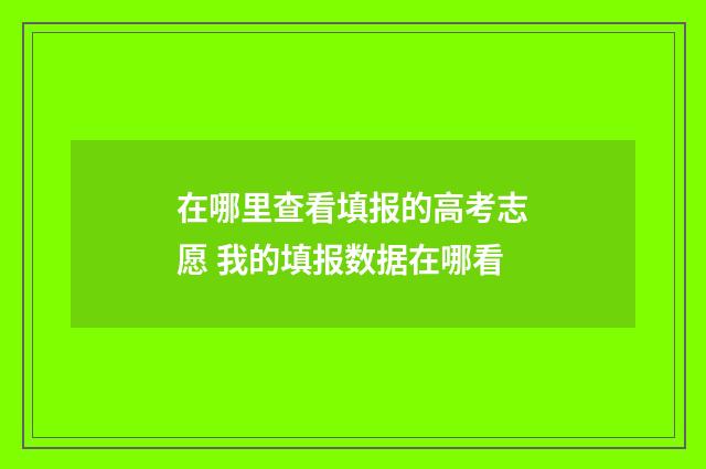 在哪里查看填报的高考志愿 我的填报数据在哪看