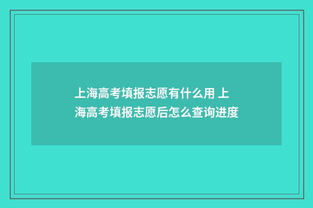 上海高考填报志愿有什么用 上海高考填报志愿后怎么查询进度