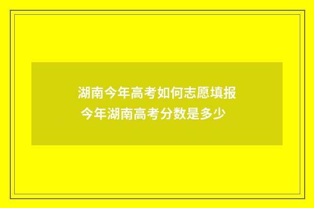 湖南今年高考如何志愿填报 今年湖南高考分数是多少