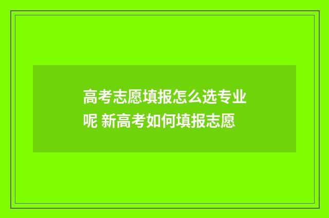 高考志愿填报怎么选专业呢 新高考如何填报志愿