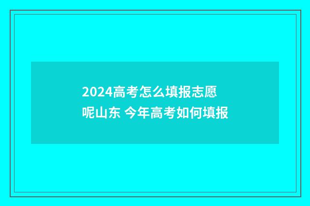 2024高考怎么填报志愿呢山东 今年高考如何填报