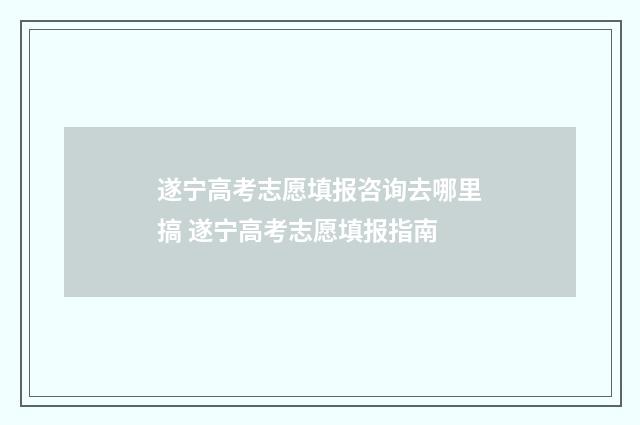 遂宁高考志愿填报咨询去哪里搞 遂宁高考志愿填报指南