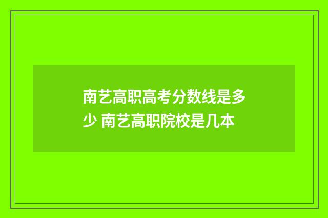 南艺高职高考分数线是多少 南艺高职院校是几本