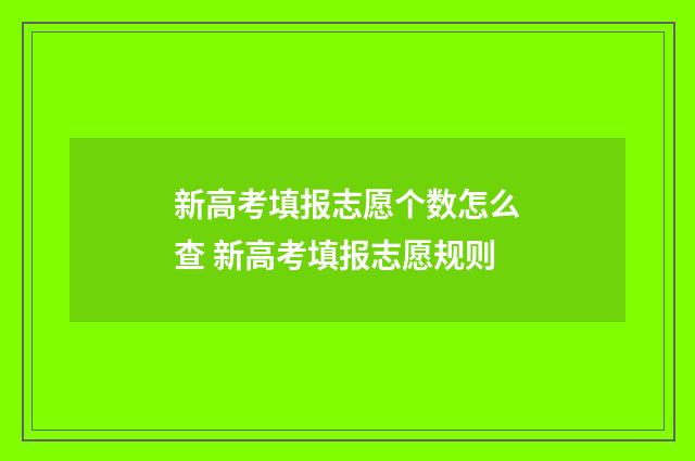 新高考填报志愿个数怎么查 新高考填报志愿规则