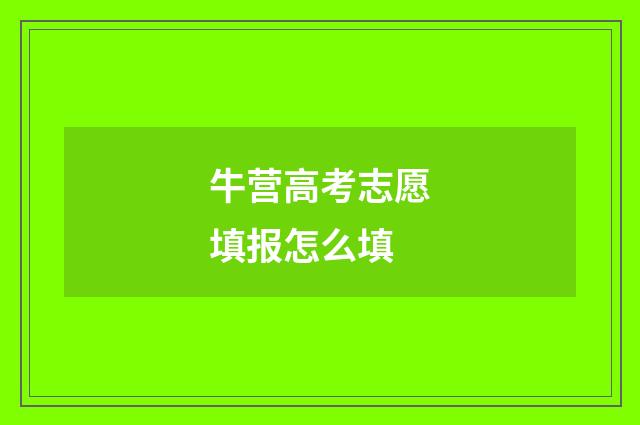 牛营高考志愿填报怎么填