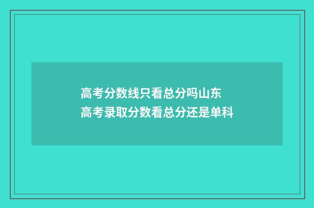 高考分数线只看总分吗山东 高考录取分数看总分还是单科