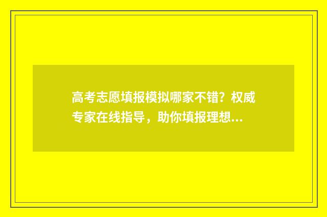 高考志愿填报模拟哪家不错？权威专家在线指导，助你填报理想大学 高考志愿填报模拟表电子版