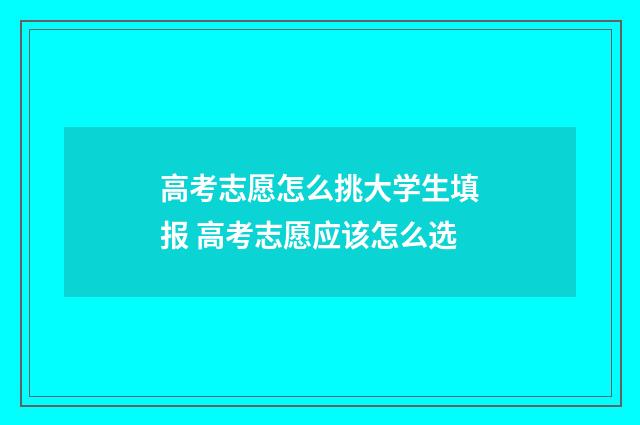 高考志愿怎么挑大学生填报 高考志愿应该怎么选
