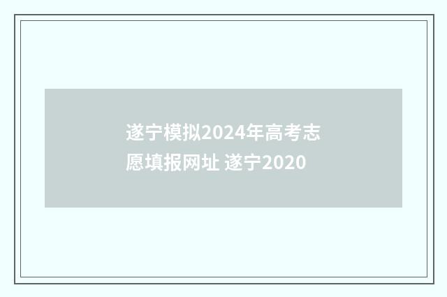 遂宁模拟2024年高考志愿填报网址 遂宁2020