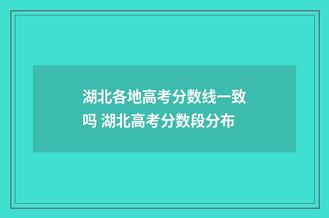湖北各地高考分数线一致吗 湖北高考分数段分布