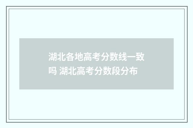 湖北各地高考分数线一致吗 湖北高考分数段分布