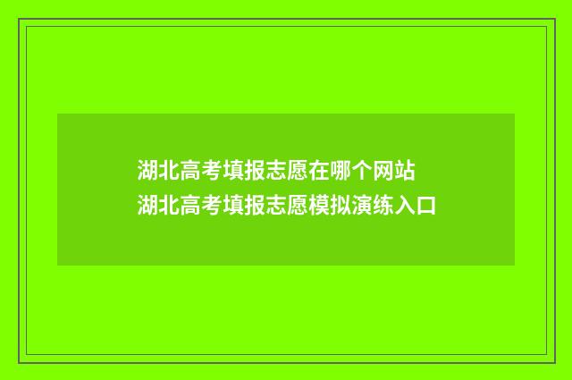 湖北高考填报志愿在哪个网站 湖北高考填报志愿模拟演练入口