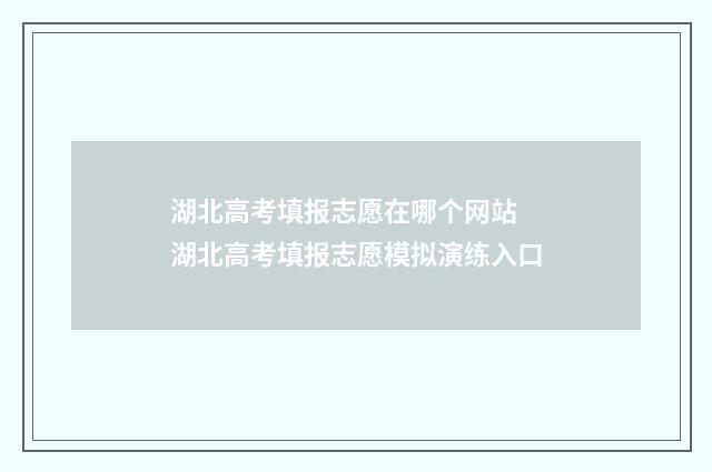 湖北高考填报志愿在哪个网站 湖北高考填报志愿模拟演练入口