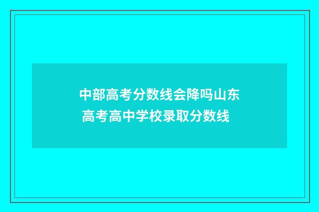 中部高考分数线会降吗山东 高考高中学校录取分数线