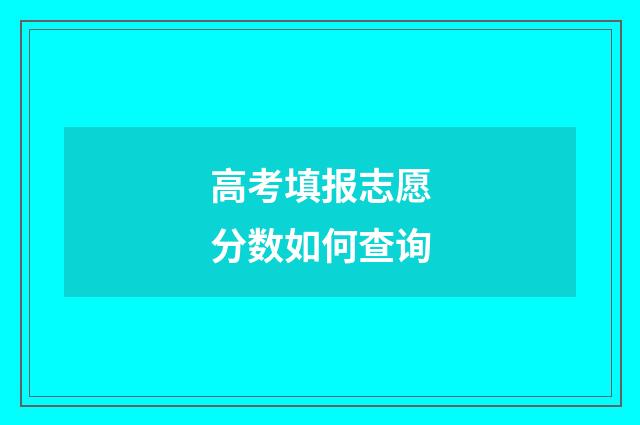 高考填报志愿分数如何查询