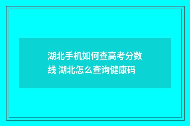 湖北手机如何查高考分数线 湖北怎么查询健康码
